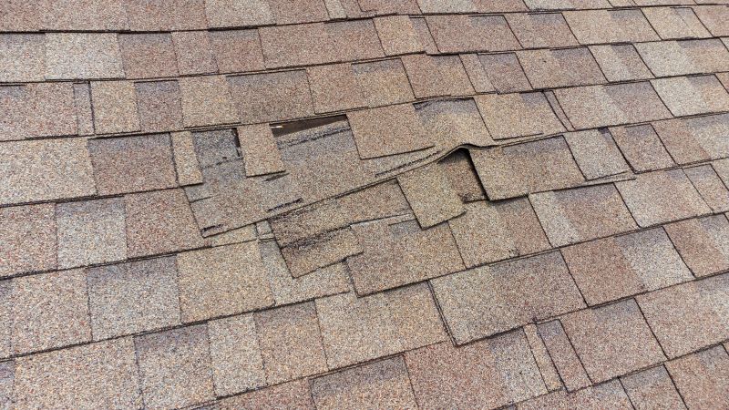 Roof Repair Specialists